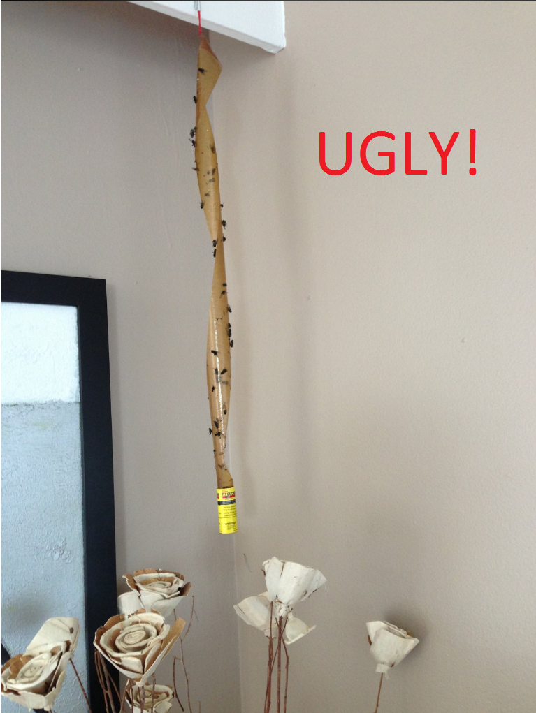 Prism Shaped Foldable, Disposable, Sticky Fly Trap Indiegogo