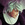 20111230184633-id1_120111230-2908-1pyqdz2-0