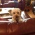 20120820063720-stringio