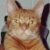 20120822040748-stringio
