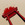 20120510005630-profilbackloggery