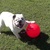 20121023012311-bogey