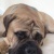 20120829154913-stringio