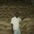 20120830161809-sheikhwithbeans