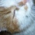 20120902061627-stringio