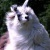 20120906185056-stringio