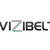 20120927010441-vizibelt_7_final_a_300_