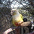 20121119165416-dscf8390