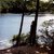 20121108145726-tb_tree