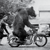 20121121130939-motorcyclebear-sm