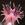 20120419013141-starnosemole
