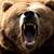 20121205214922-bear