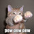 20130209122452-asdasd