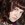 20120201062915-kk_head