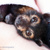 20130113200451-sffpup