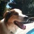 20130211011833-tucker_photo