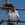 20120312170112-snook