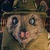 20130221144109-fantastic_mr._fox_-_profile
