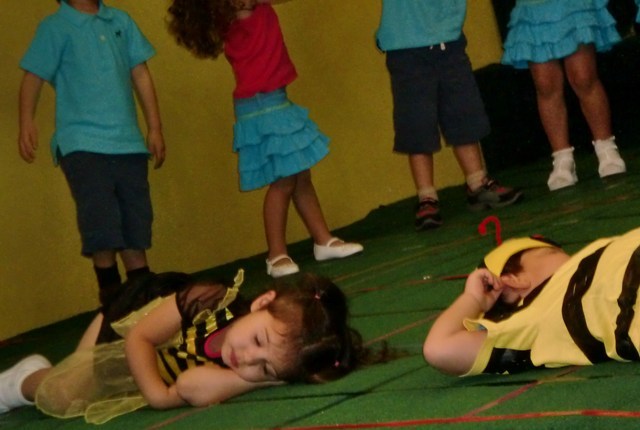 20130304153713-cropped_bee_less_pixels