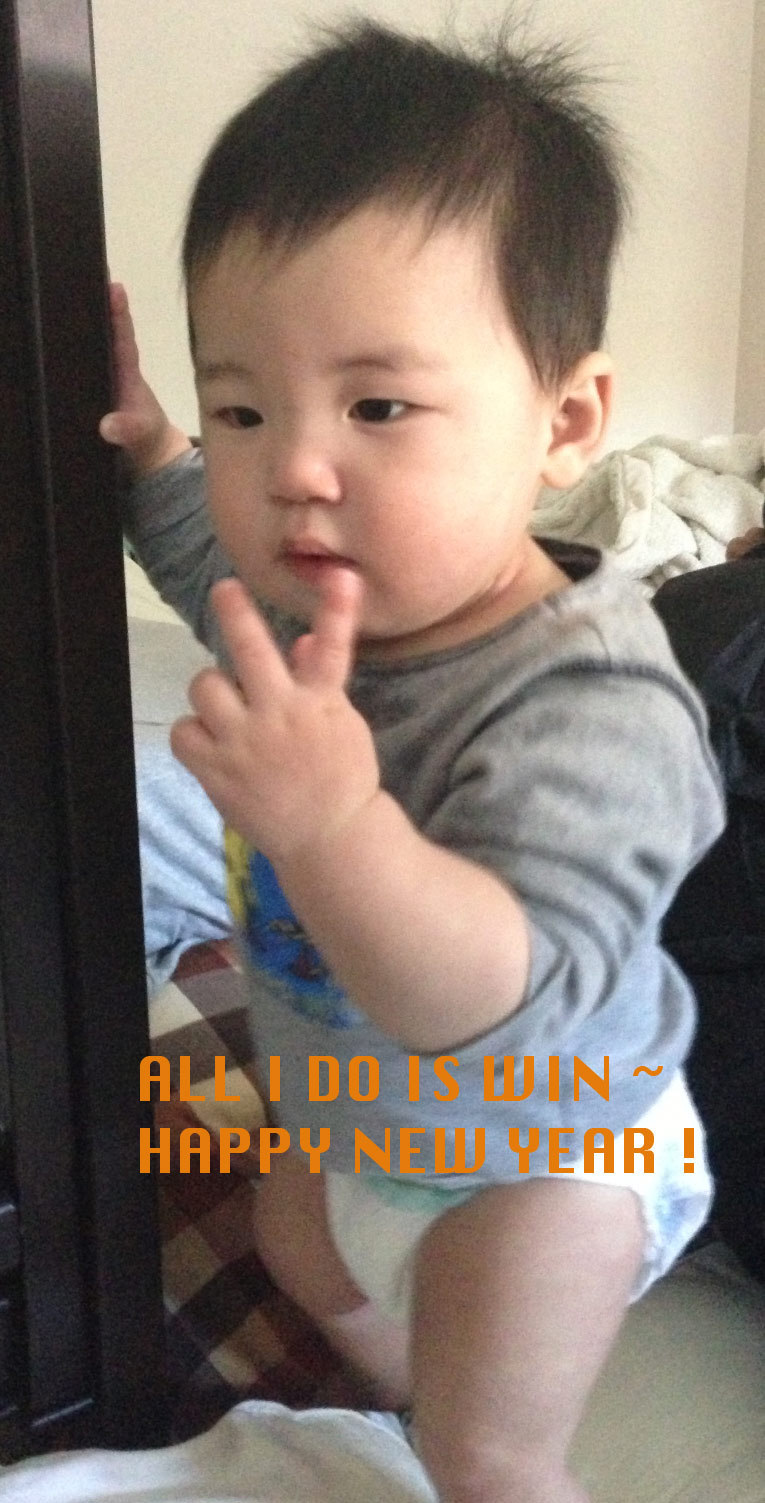 20130304230848-hpny