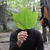 20130317193801-jw-redmaple