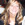Laura_lippay_copy