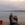 20111215170135-stringio20111215-31347-dtbdsk-0
