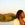 20111216102911-iquo_b_essien_artist20111216-2888-yoj857-0