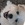 20120117204146-crazed_wink20120117-30998-1dbv7gc-0