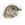 20111227133023-hermitthrushprofile20111227-12478-1pzbbcv-0