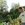 20120108074933-stringio20120108-13214-kgfuhx-0