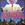 20120108112000-strangest_dreams_invasion_of_the_space_preachers20120108-9331-v23ok0-0