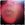 20111220115649-kiss20111220-5050-m0vhxt-0