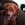 20120111051926-img_051820120111-2165-2drjye-0