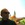 20120111191324-writer20120111-13054-fkt1vq-0
