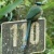 20120112120159-stringio20120112-29432-tz9fos-0
