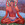 20120113140103-meditationmanl20120113-5455-yzh1z0-0