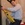 20120114100525-stringio20120114-27332-pcurmp-0