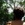 20120115041624-stringio20120115-6247-4qclrs-0