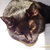 20120116084156-cat20020120116-19606-hh1q0z-0