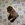 20120129074407-bio