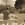 20120120073628-stringio20120120-27413-1m281fq-0