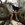 20120123065634-stringio