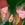 20120126031947-stringio