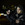 20120127223804-cody__2