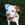 20120130110511-riley