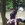 20120130192637-pondering_nature_by_a_babbling_brook