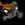 20120201125514-platy_avatar