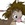 20120202123817-stringio