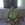 20120204164225-jayvon_2